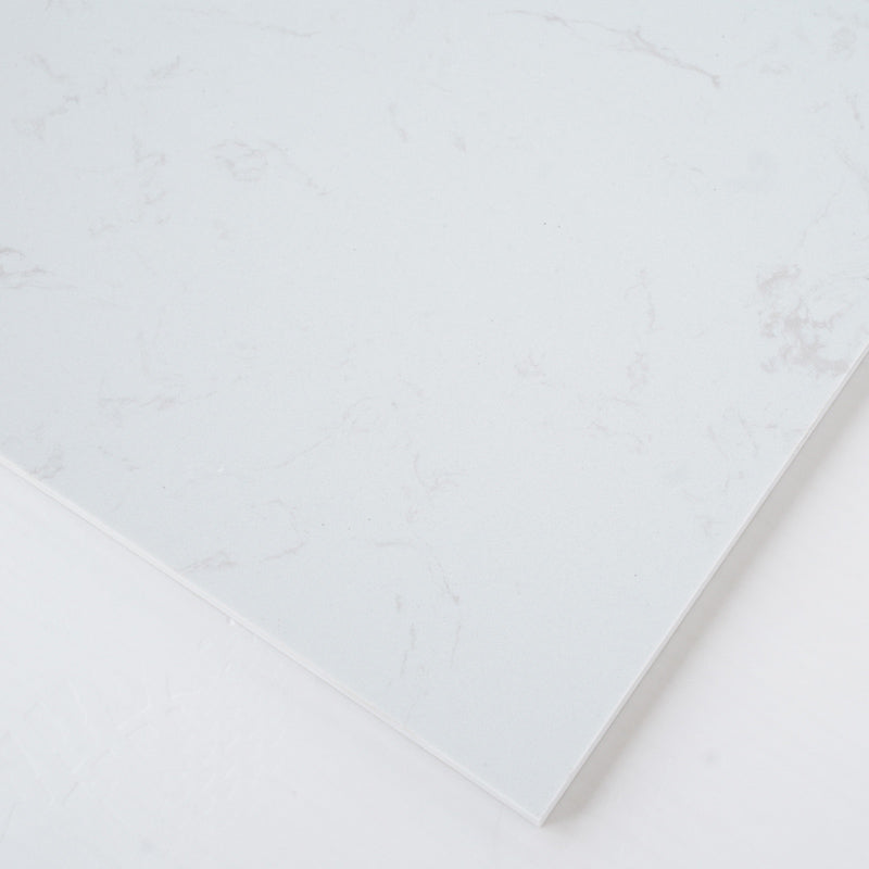 DONGSHENGJIANSHE Ash White Granite  Modern simple natural granite